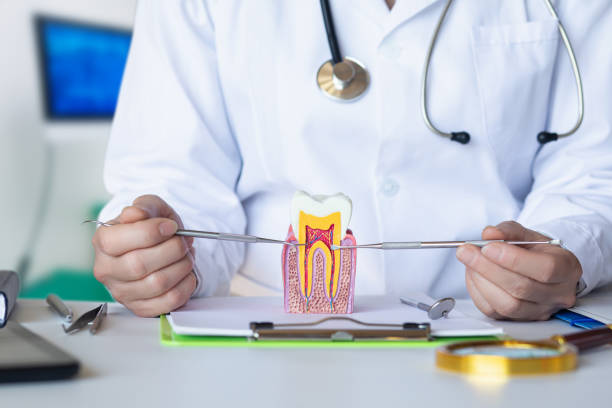 Best Emergency Dental Care for Sports Injuries in Howe, TX